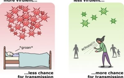 Virus Mutations : Figure 1